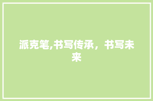 派克笔,书写传承，书写未来 神马SEO