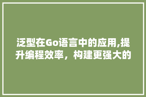 泛型在Go语言中的应用,提升编程效率，构建更强大的系统