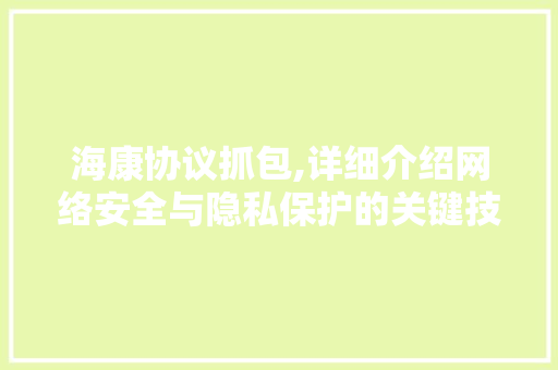 海康协议抓包,详细介绍网络安全与隐私保护的关键技术