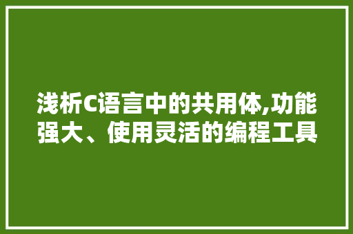 浅析C语言中的共用体,功能强大、使用灵活的编程工具