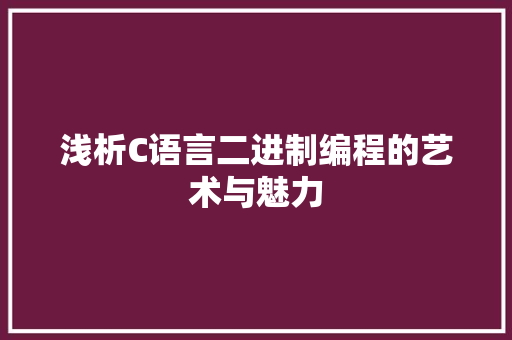 浅析C语言二进制编程的艺术与魅力
