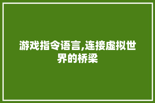 游戏指令语言,连接虚拟世界的桥梁