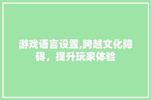 游戏语言设置,跨越文化障碍，提升玩家体验 神马SEO