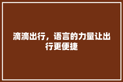 滴滴出行，语言的力量让出行更便捷 神马SEO