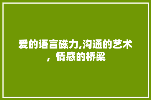 爱的语言磁力,沟通的艺术，情感的桥梁