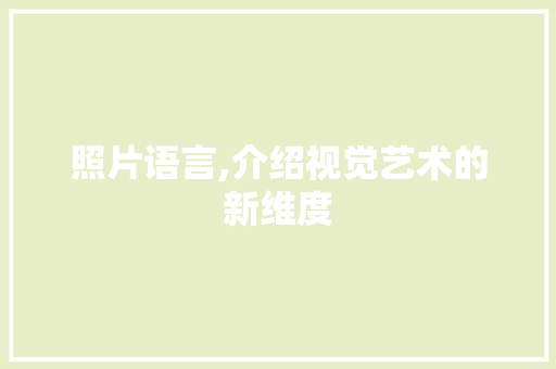 照片语言,介绍视觉艺术的新维度