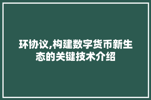 环协议,构建数字货币新生态的关键技术介绍 必应SEO