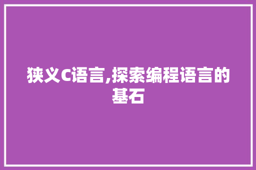 狭义C语言,探索编程语言的基石