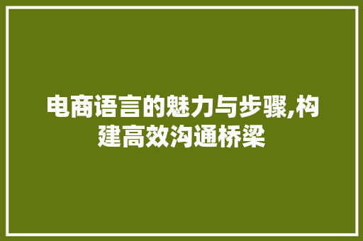 电商语言的魅力与步骤,构建高效沟通桥梁