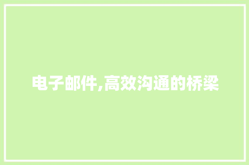 电子邮件,高效沟通的桥梁