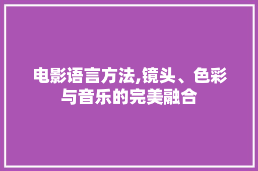 电影语言方法,镜头、色彩与音乐的完美融合