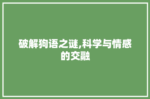 破解狗语之谜,科学与情感的交融