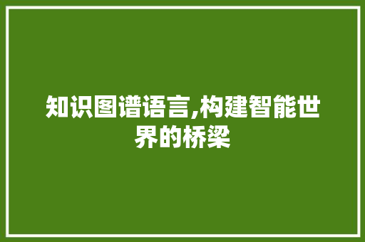 知识图谱语言,构建智能世界的桥梁