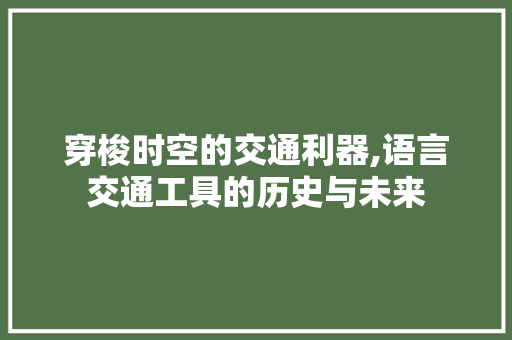 穿梭时空的交通利器,语言交通工具的历史与未来