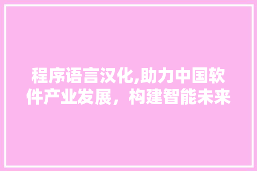 程序语言汉化,助力中国软件产业发展，构建智能未来