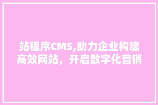 站程序CMS,助力企业构建高效网站，开启数字化营销新篇章