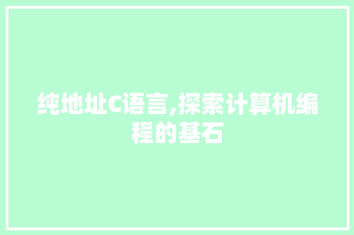 纯地址C语言,探索计算机编程的基石 必应SEO