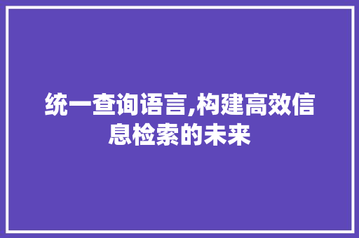 统一查询语言,构建高效信息检索的未来