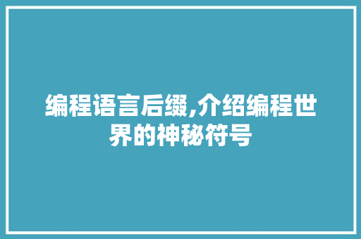 编程语言后缀,介绍编程世界的神秘符号