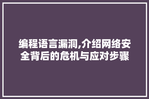 编程语言漏洞,介绍网络安全背后的危机与应对步骤