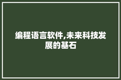 编程语言软件,未来科技发展的基石