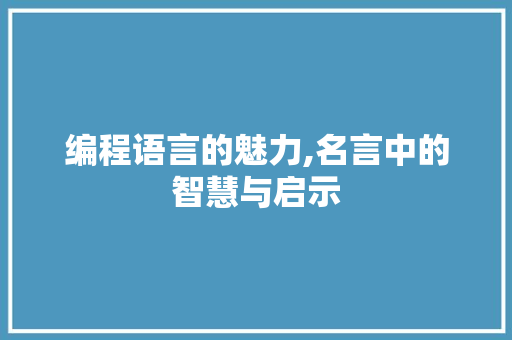 编程语言的魅力,名言中的智慧与启示