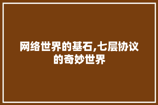 网络世界的基石,七层协议的奇妙世界