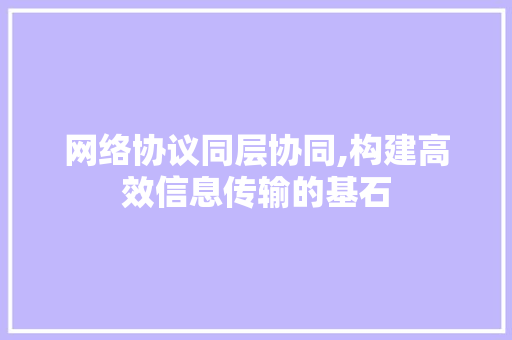 网络协议同层协同,构建高效信息传输的基石