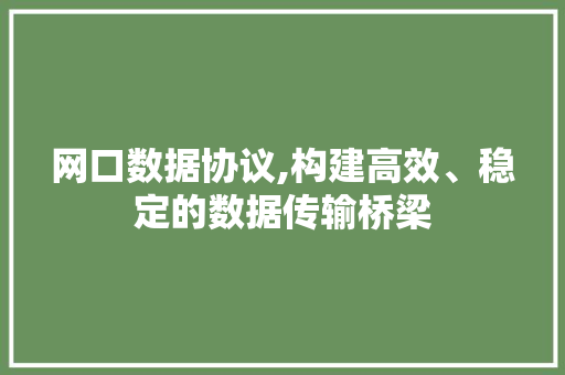 网口数据协议,构建高效、稳定的数据传输桥梁
