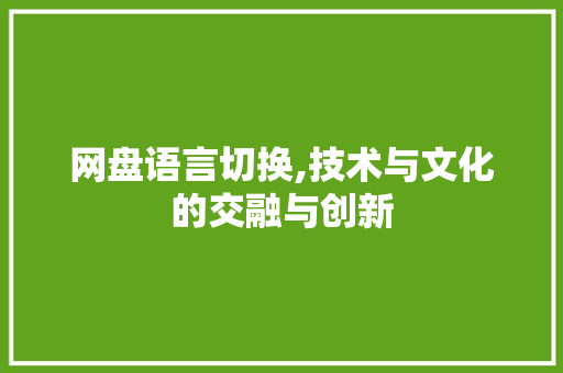 网盘语言切换,技术与文化的交融与创新