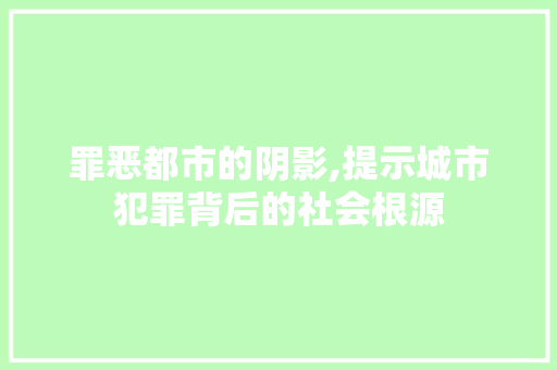 罪恶都市的阴影,提示城市犯罪背后的社会根源