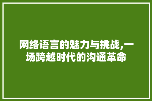 网络语言的魅力与挑战,一场跨越时代的沟通革命