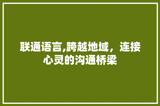 联通语言,跨越地域，连接心灵的沟通桥梁