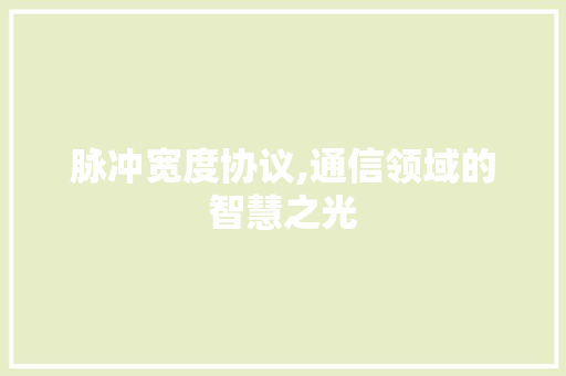 脉冲宽度协议,通信领域的智慧之光 网站建设公司