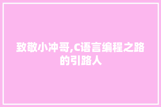 致敬小冲哥,C语言编程之路的引路人