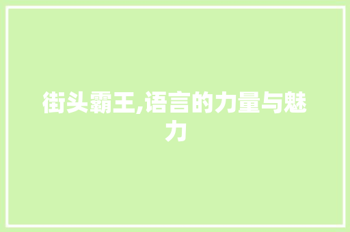街头霸王,语言的力量与魅力