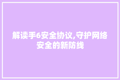 解读手6安全协议,守护网络安全的新防线 网站建设公司
