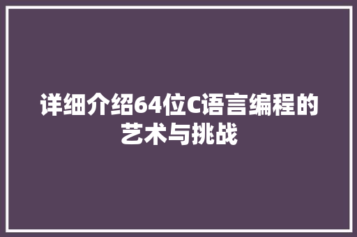 详细介绍64位C语言编程的艺术与挑战