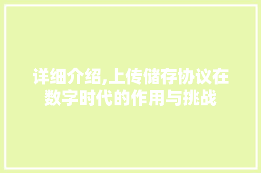 详细介绍,上传储存协议在数字时代的作用与挑战