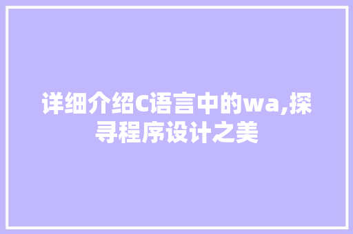 详细介绍C语言中的wa,探寻程序设计之美