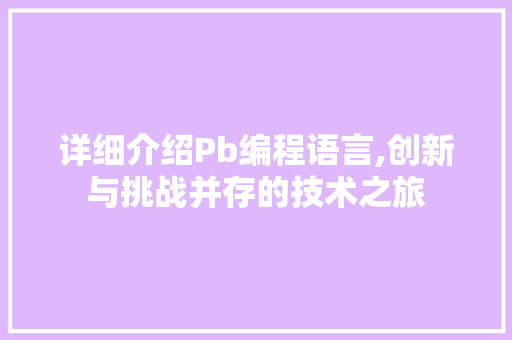 详细介绍Pb编程语言,创新与挑战并存的技术之旅