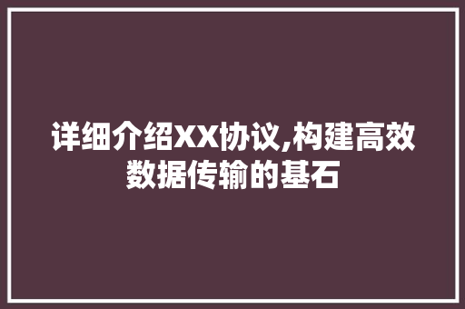 详细介绍XX协议,构建高效数据传输的基石