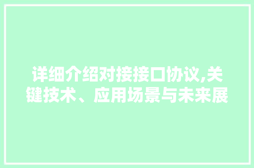 详细介绍对接接口协议,关键技术、应用场景与未来展望 网站建设公司
