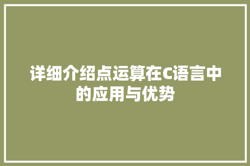 详细介绍点运算在C语言中的应用与优势