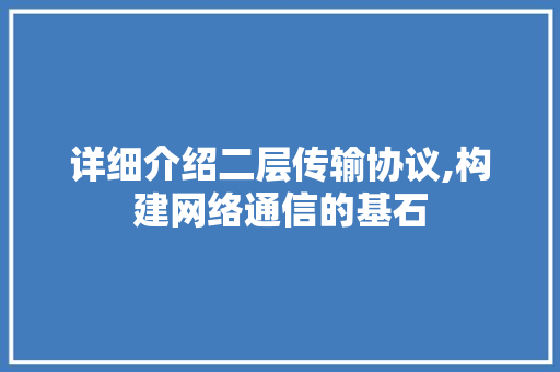 详细介绍二层传输协议,构建网络通信的基石
