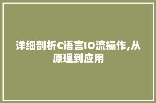 详细剖析C语言IO流操作,从原理到应用