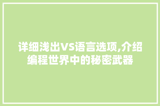 详细浅出VS语言选项,介绍编程世界中的秘密武器