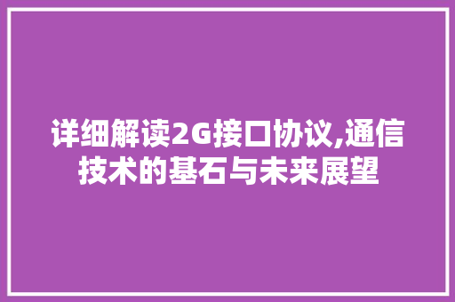 详细解读2G接口协议,通信技术的基石与未来展望