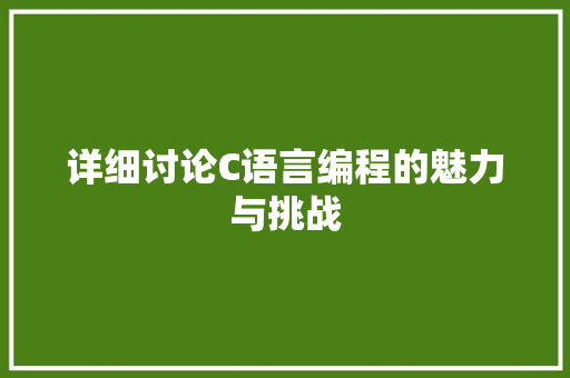 详细讨论C语言编程的魅力与挑战