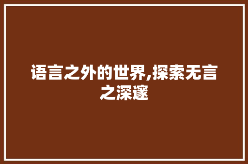语言之外的世界,探索无言之深邃